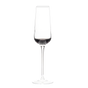 Champagneglas sæt (4 stk.)